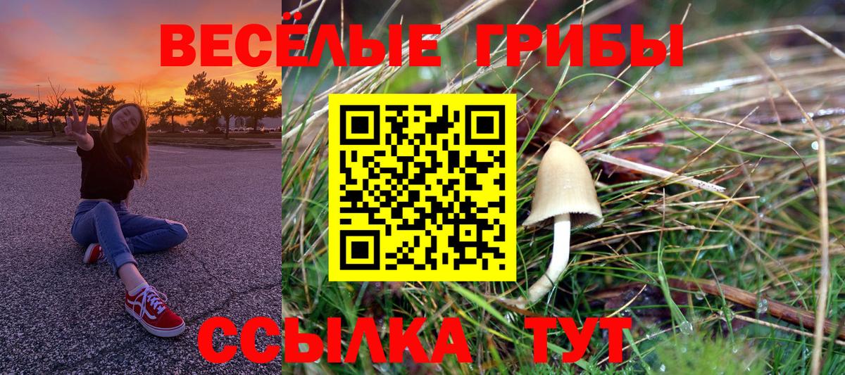 Галлюциногенные грибы Magic Shrooms Сатка