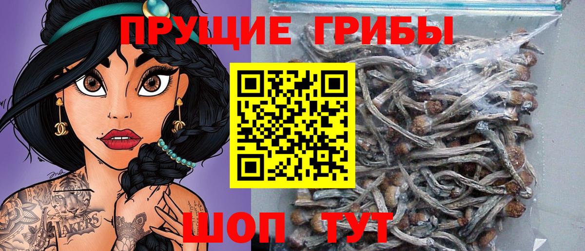 Псилоцибиновые грибы MAGIC MUSHROOMS  Вход с VPN  Сатка  Галлюциногенные грибы MAGIC MUSHROOMS 